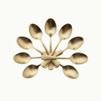 A decorative arrangement of eight metallic bronze spoons fanned out in a circular pattern against a clean off-white background.